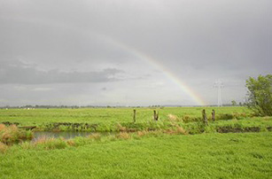Landschaftsbild